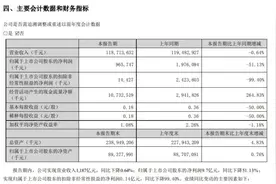 金龙鱼中报爆巨雷！二季度亏损2亿多 市值蒸发超5700亿图片