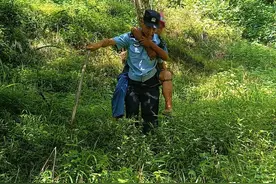 剧毒！淳安已有人中招图片