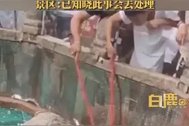 女子带孩子在泰山用铁棍捞许愿池硬币，景区：已知晓，会处理图片