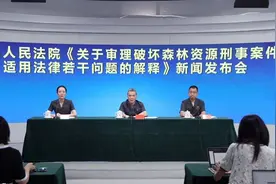 依法惩治破坏森林犯罪！最高法明确破坏森林资源犯罪定罪量刑标准图片