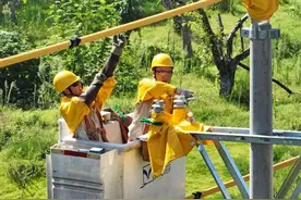 绝缘服里“蒸桑拿”  打探高温下的带电作业图片