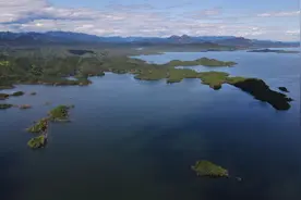 筑牢首都东北大门生态屏障 密云探索绿色高质量发展之路图片