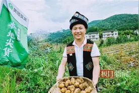 “反向调休”网红地的年轻人：90后女大学生村官敲盆驱赶野猪，85后大学教师自驾318国道收土豆图片