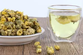 “菊花是茶，茶药交融”：菊花茶与百年前的“夏日经济”图片