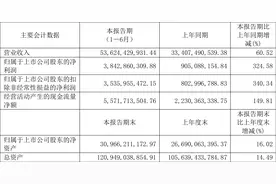 晶科能源：2023年上半年净利润38.43亿元 同比增长324.58%图片