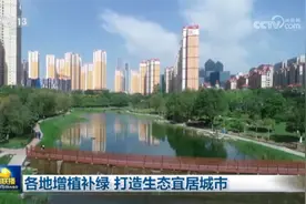 各地增植补绿 打造生态宜居城市图片