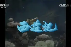 《西游记》的谜团：为何曾有人说作者不是吴承恩？图片