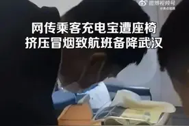 充电宝突然冒烟！拉萨飞往上海的航班紧急备降武汉图片