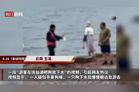 饮用水源地云南抚仙湖有人放狗下水？执法队：已劝阻，将加强巡查图片