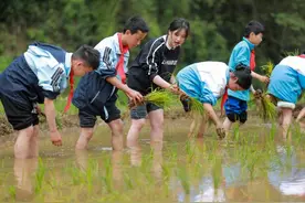 义务教育道德与法治课程标准 （2022年版）解读图片