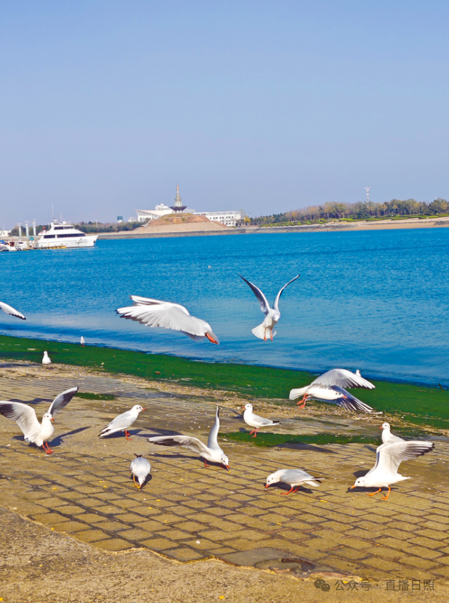 老朋友，又回来了！