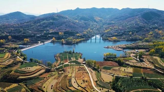 后村！真好看！赶紧转起来……