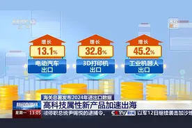 “新”意足！一组数据看2024年中国外贸成绩单图片