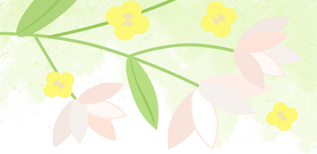 是时候再去一趟渤公岛了！