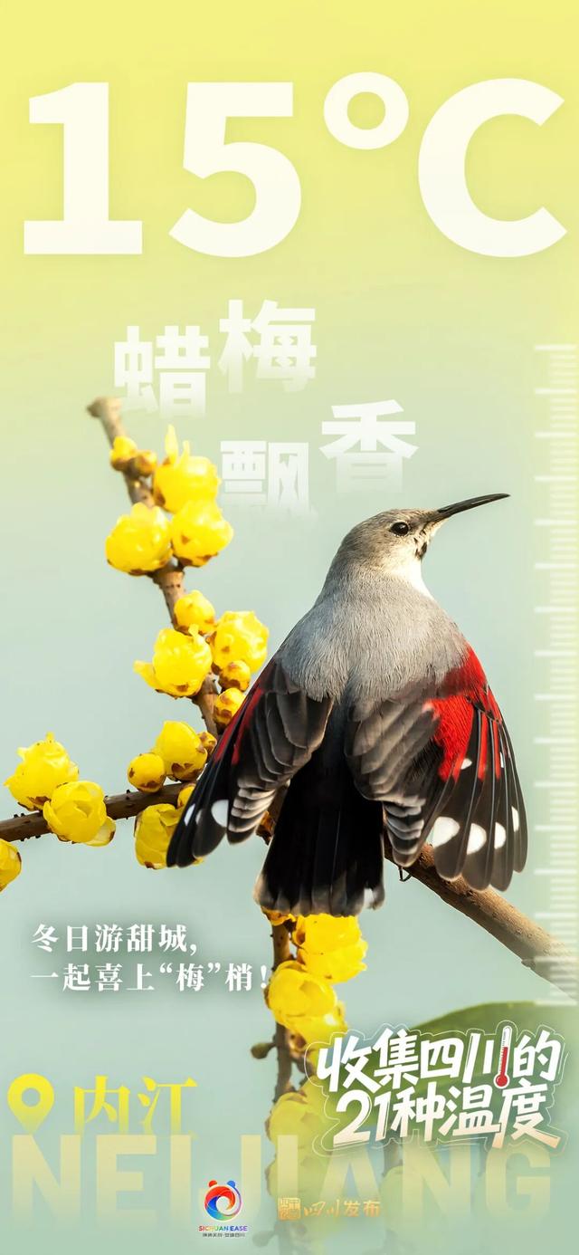 这个冬天来四川！每一“度”都好玩~