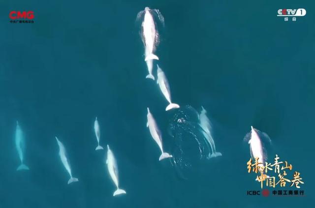 今晚！央视播出！领略厦门绘就新时代“海上花园”的壮美画卷→