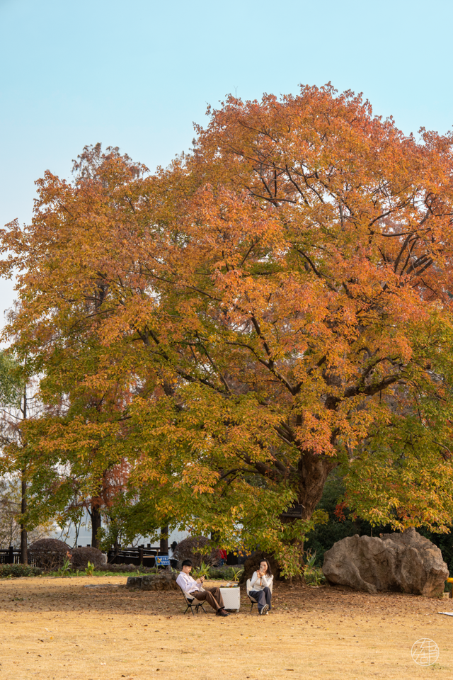 东湖「巨物」图鉴，打卡XXXXL号视觉震撼！