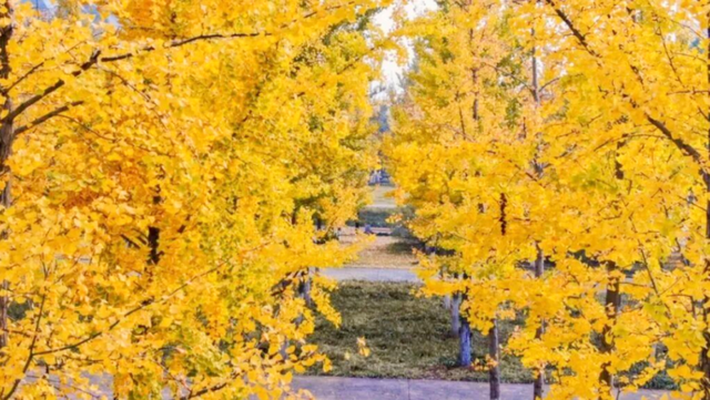 超美超出片！荆门这些宝藏地，附详细打卡攻略