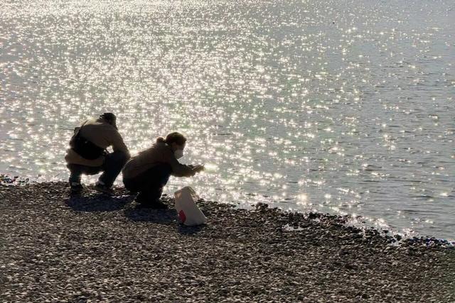 玉河湿地公园怎么玩儿？出片点位全攻略