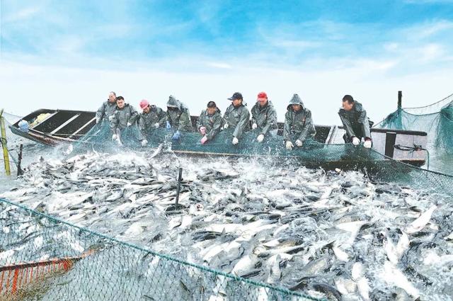“中国淡水渔业第一市”荆州，邀你过一个鲜美的秋天