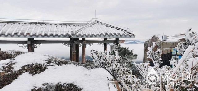 泉州：元旦120多场活动，和你一起奔赴2026！