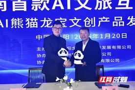 岳阳文旅玩出新高度，熊猫会说话了！湖南首款AI文旅互动玩偶今日诞生图片