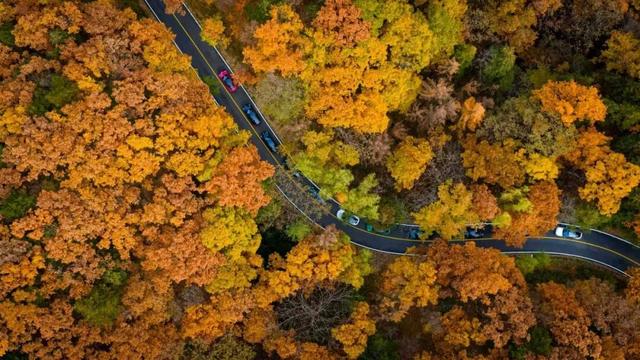 错过等一年！这个冬天，来嵩县“嗨皮”一圈！