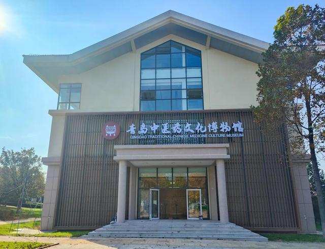 种草！青岛这几条康养路线，解锁秋日松弛感