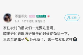 头皮发麻！杭州女子收衣服，被吓到尖叫……又到高峰期！图片