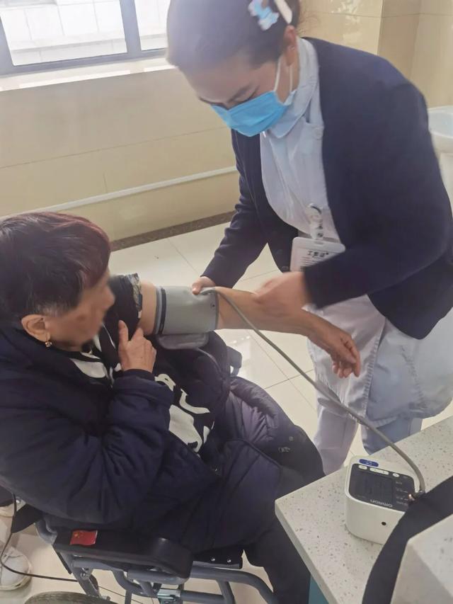 深秋洛阳引热潮！俄罗斯游学团沉浸式感受古都魅力