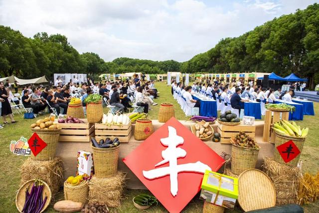 百场精品活动来袭！2025青浦文化旅游节9.26启幕，带你“趣”游江南
