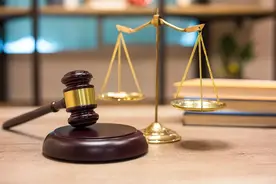 狗往车胎上撒尿！沪一阿姨遛狗遭车主殴打……法院这样判图片