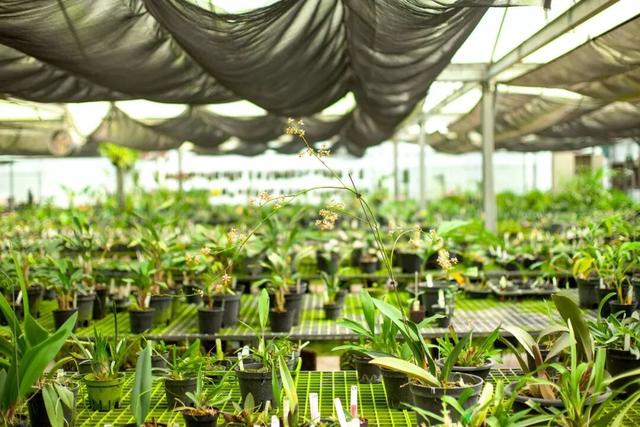 他初中毕业后终身不婚，荒野舍命工作20年，被一群博士封神