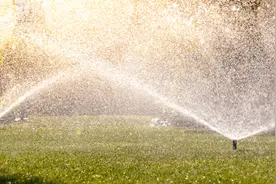 河南旱情何时缓解？水源是否充足？权威解答！图片