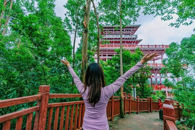 免门票！里水登高首选！3条赏秋路线→