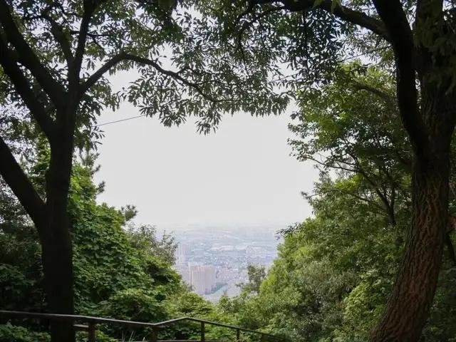 体荟四季｜秋日遛娃去哪？答案藏在这5座森林公园里
