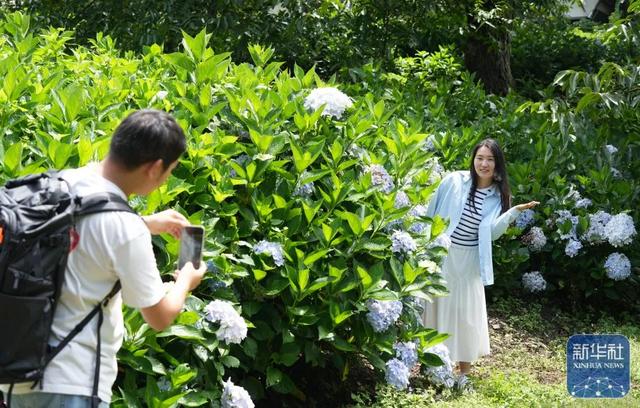 外地高温40℃，云南还要穿长裤，来感受独一份清凉
