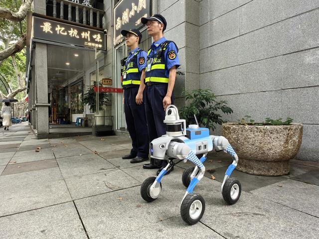 杭州南山路来了新员工，还在试用期，它的职场生涯注定学无止境