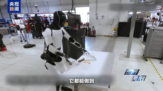美国退休教授喜提AI伴侣 人类未来的生活搭子：机器人？
