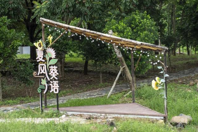 漫步云霄 | 粗溪潺潺，洗净江心一小洲