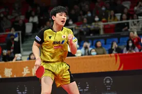 （体育）乒乓球——混合团体世界杯：日本队胜中国台北队图片