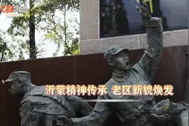 追光·深度｜人人都说沂蒙山好，究竟好在哪？图片