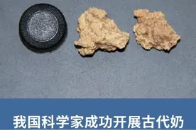 中国科学家研究最古老奶酪获重大发现图片