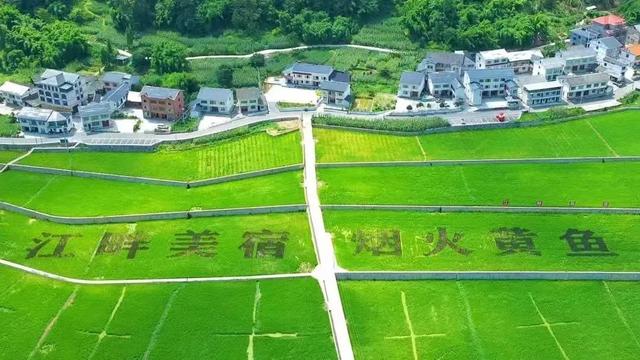 【全国生态日】绥阳：践行“两山论” 绘就生态旅游发展新画卷