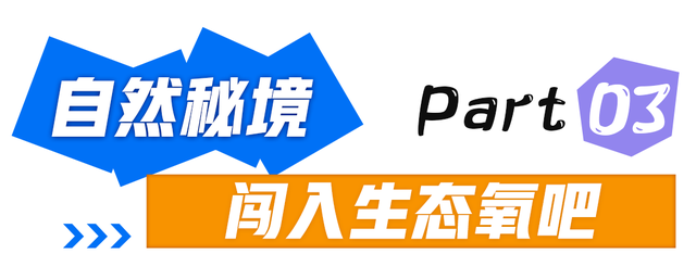 演唱会没嗨够？转场美兰这10个地方！火星人与KatyCats的游玩攻略→
