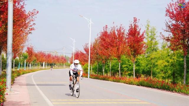 别去日本了！新洲的“同款”风景，美得更懂你
