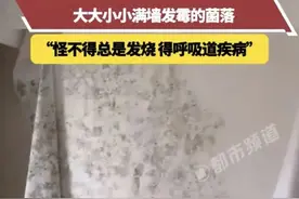 密密麻麻“小黑点”，伤害很大！赶快清理！图片