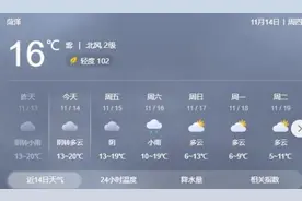 雨雾天如何安全出行，菏泽高速交警给您支个招！图片