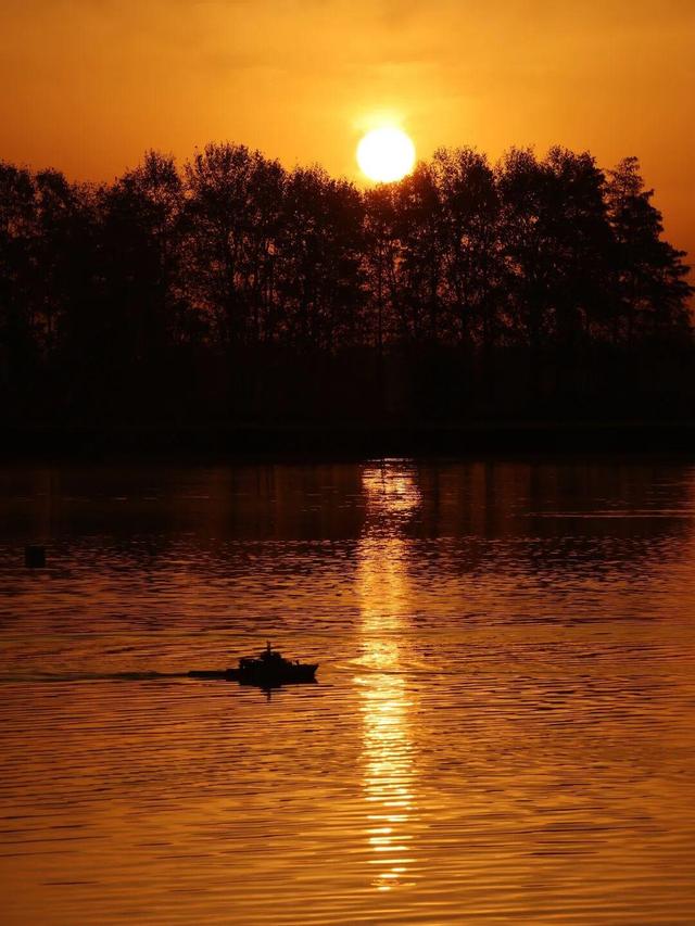 大武汉一日 | 武汉这处江滩，变萌了