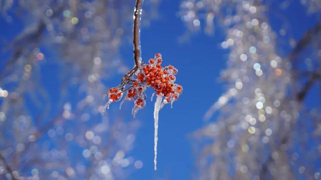 最懂松弛的北京中产,在内蒙玩得太“土”了